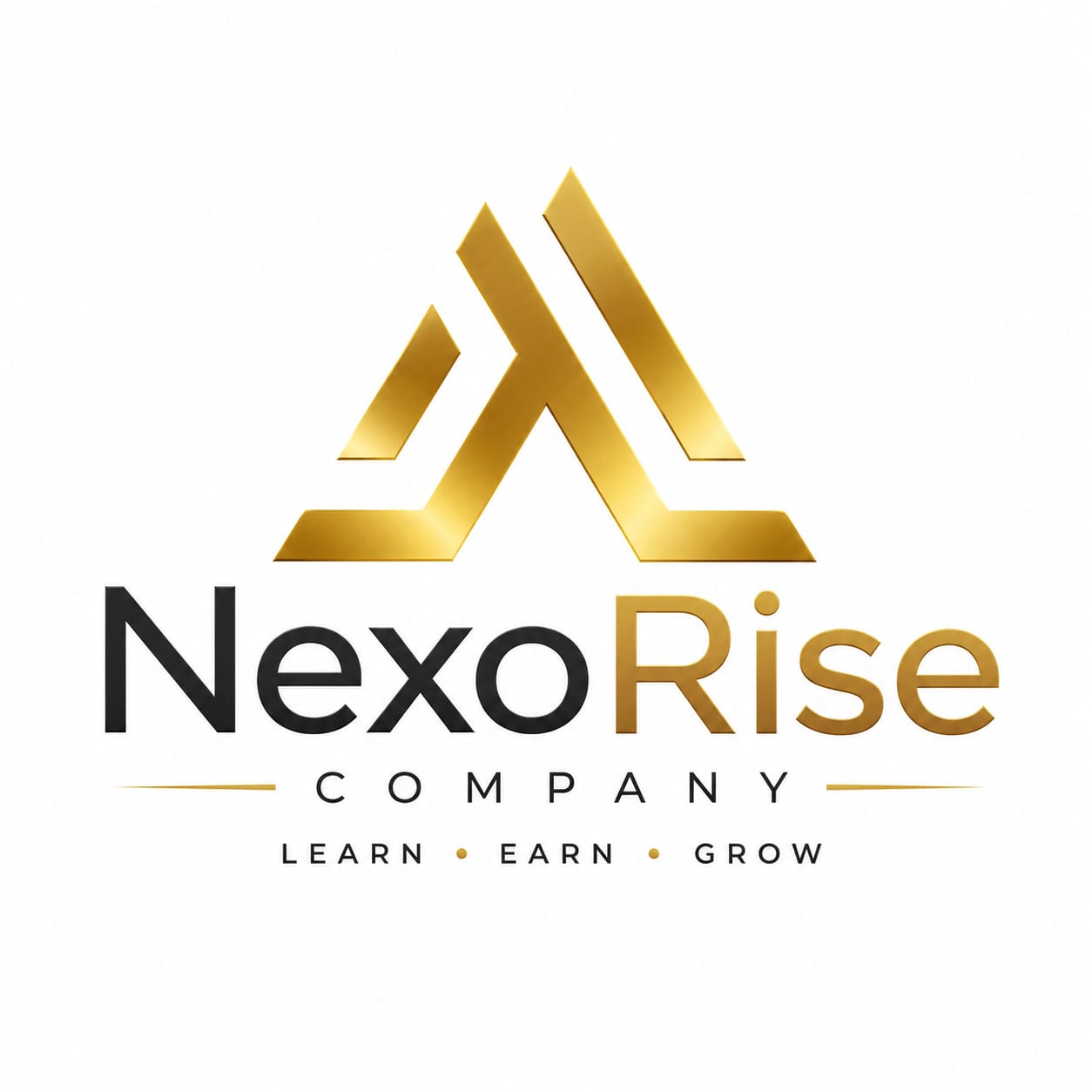 NexoRise logo
